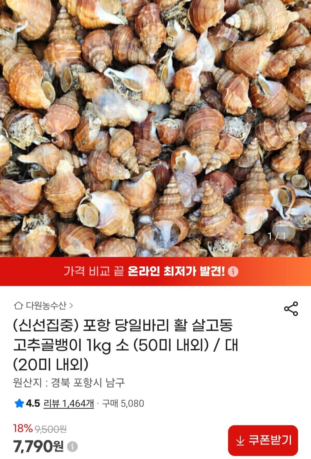 활 살고동 1kg