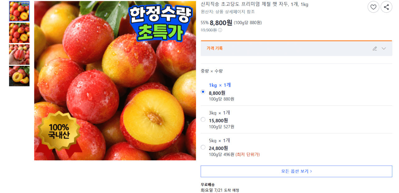 제철 햇 자두 1kg