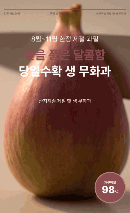 국내산 홍무화과 500g