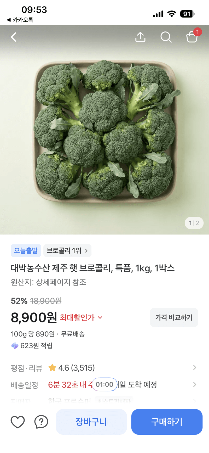 대박농수산 제주 브로콜리 1kg