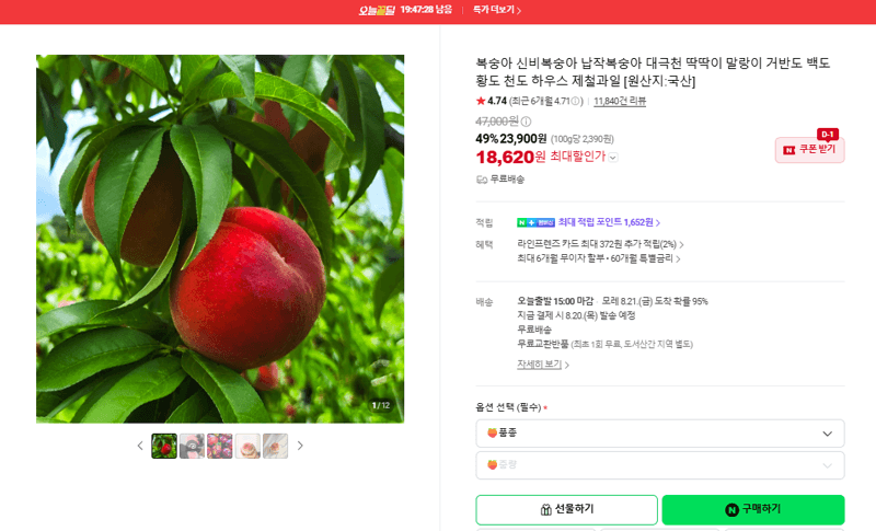 신비 복숭아 하우스