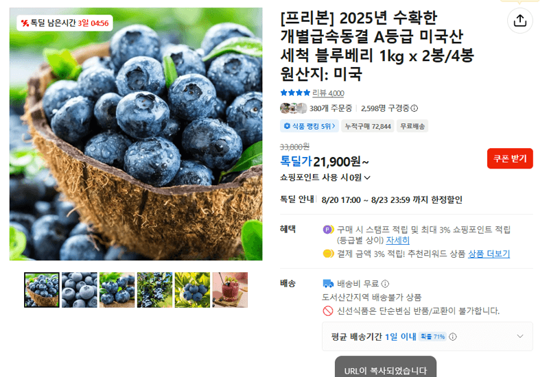 프리본 세척 블루베리 1kg