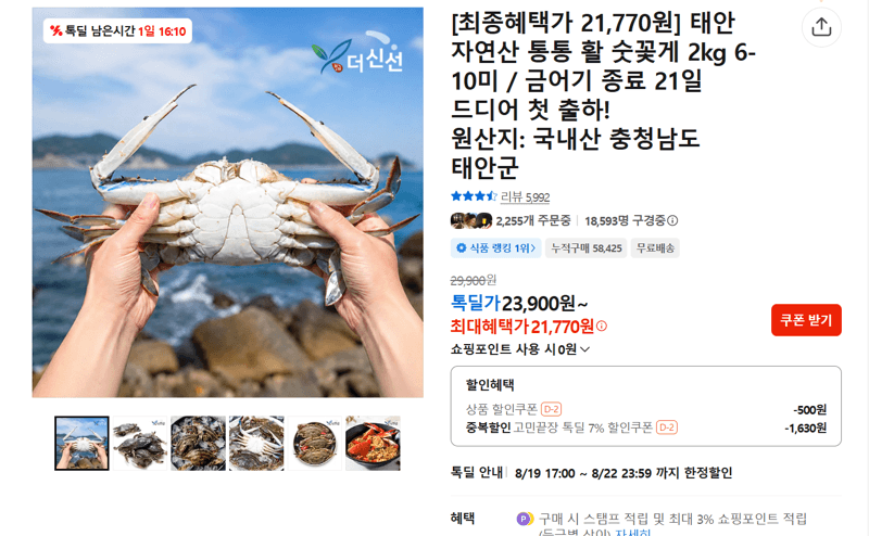 태안 자연산 활 숫꽃게 2kg