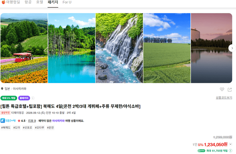 힐튼 북해도 4일 패키지
