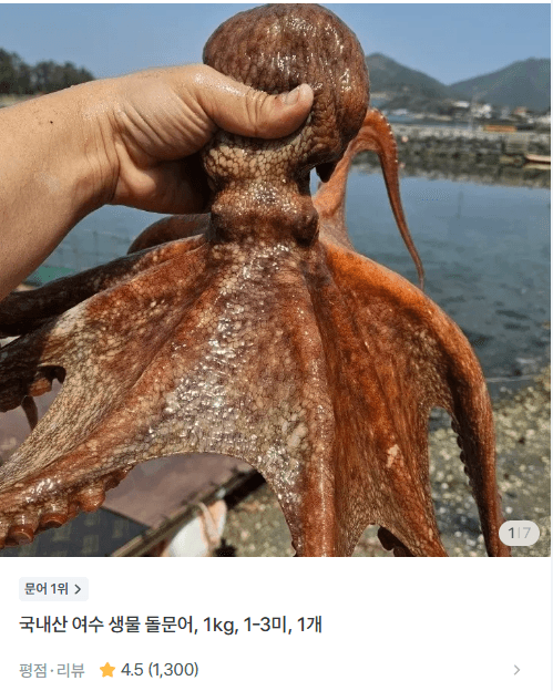 여수 생물 돌문어 1kg