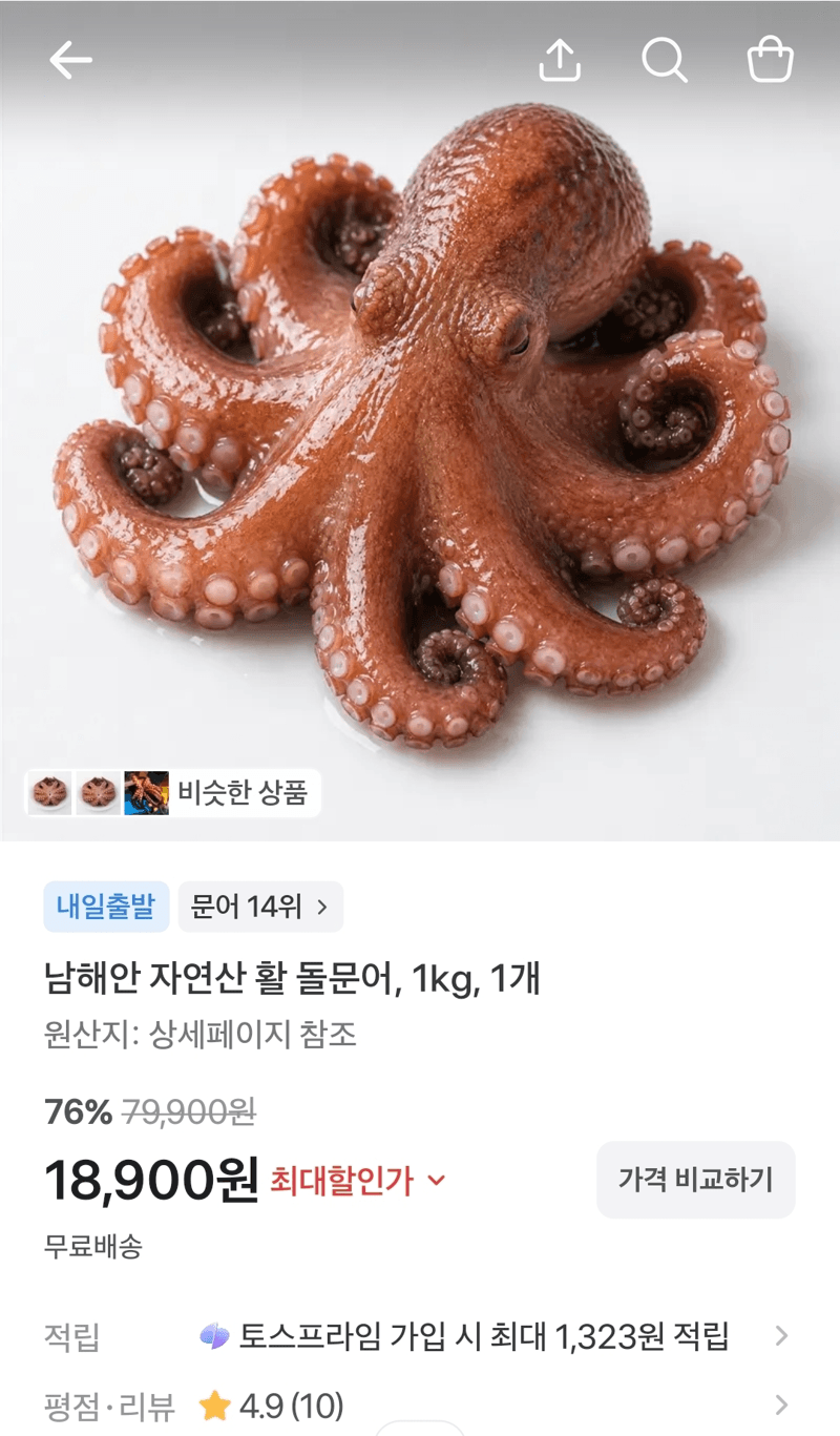 남해안 자연산 활 돌문어 1kg