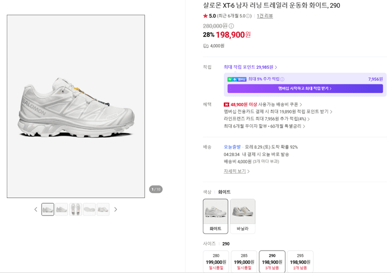 살로몬 XT-6 290