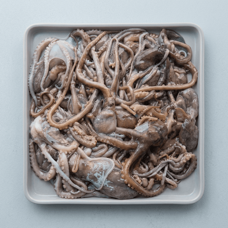 서해 선동 낙지 1kg×3팩