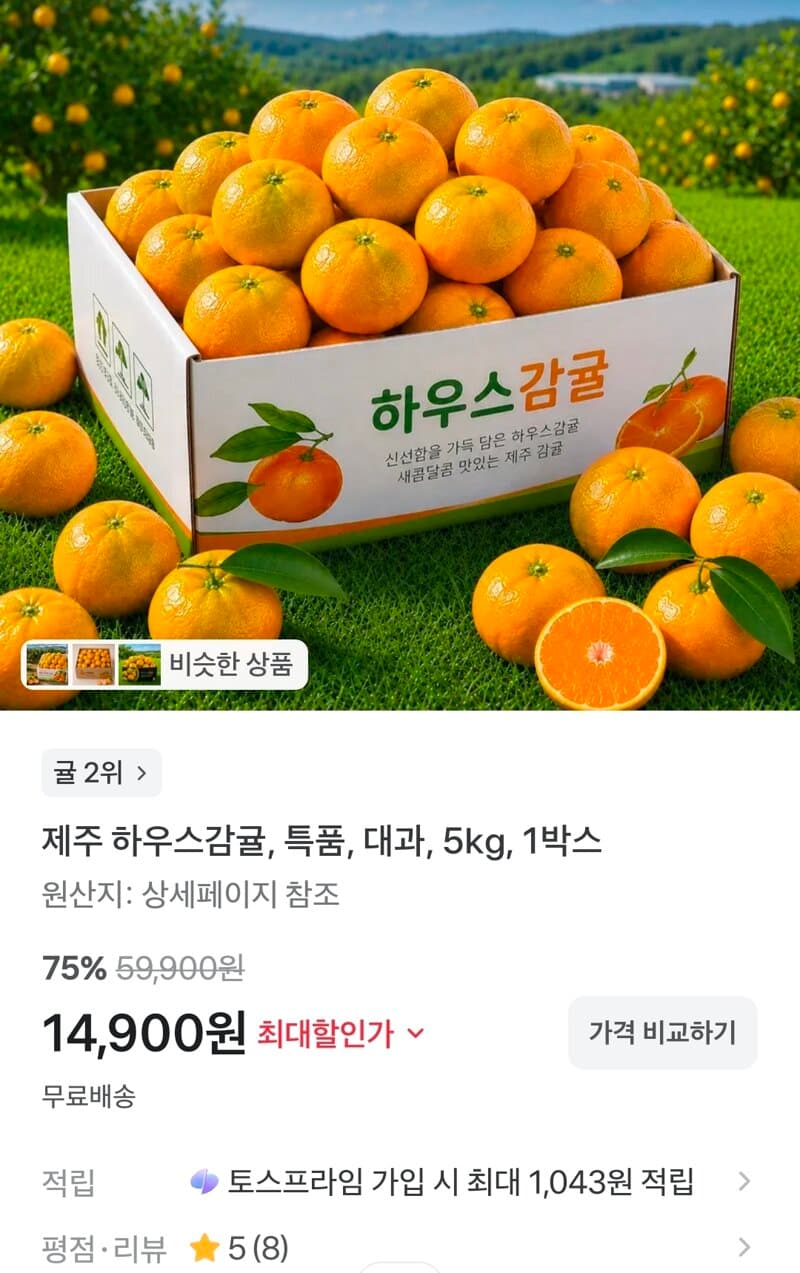 제주 하우스감귤 대과 5kg