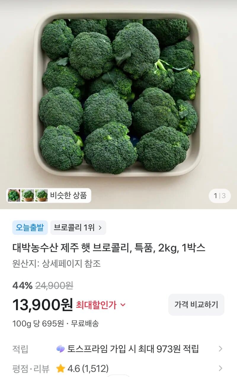 제주 햇 브로콜리 특품 2kg