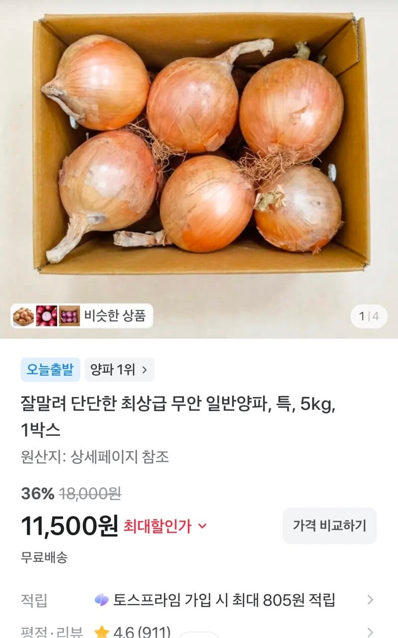 무안 일반양파 5kg