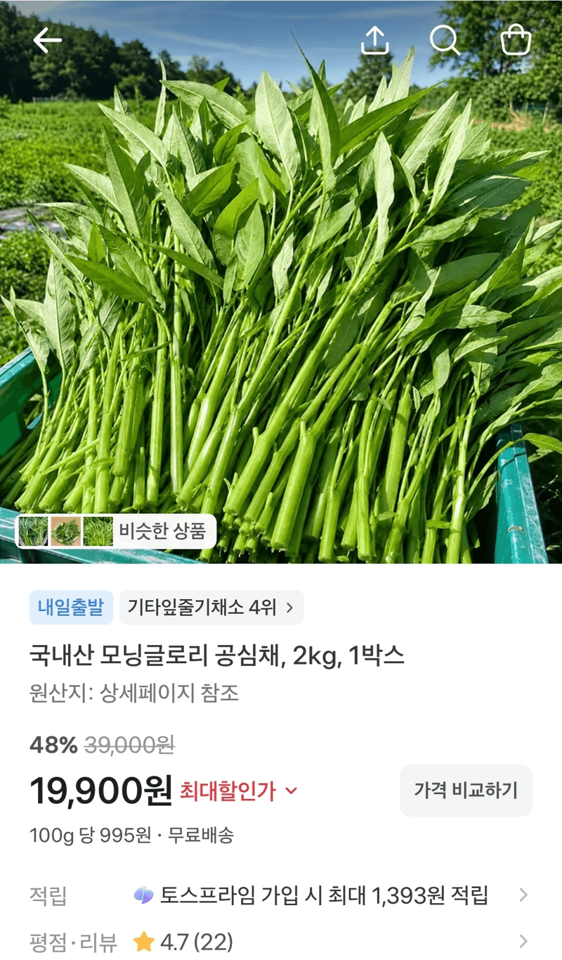 국내산 모닝글로리 공심채 2kg