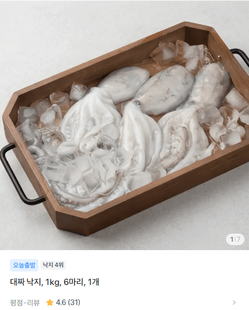 대짜 낙지 1kg 6마리