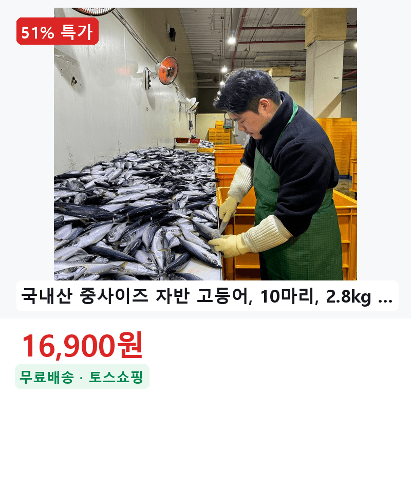 국내산 중사이즈 자반 고등어 10마리 2.8kg