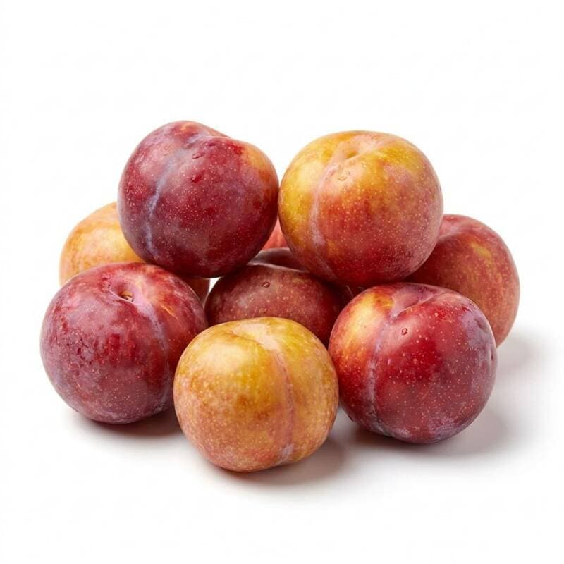 팜보스 국내산 햇자두 4kg