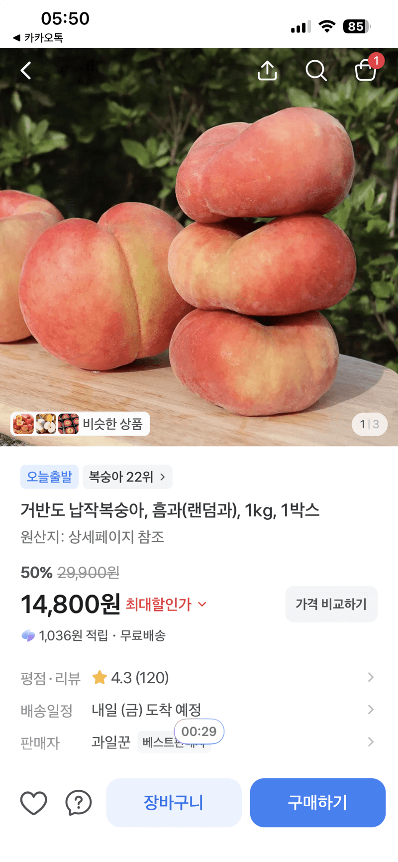 거반도 납작복숭아 1kg
