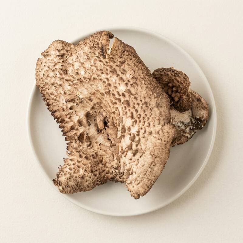 프룻프룻 건조 능이버섯 100g