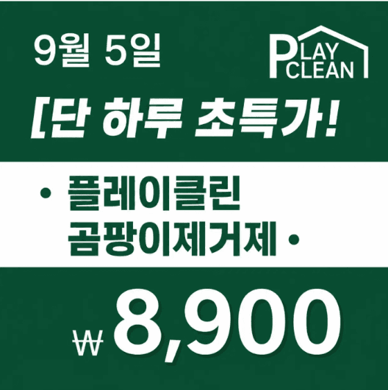 플레이클린 곰팡이제거제 500ml