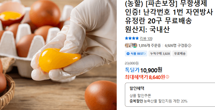 무항생제 자연방사 유정란 20구