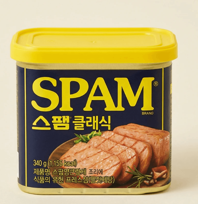 CJ제일제당 스팸 클래식 340g 10개