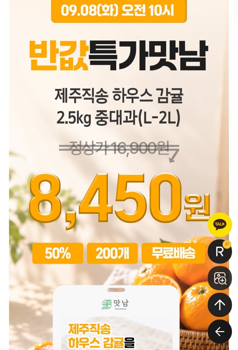제주 감귤 중대과 2.5kg