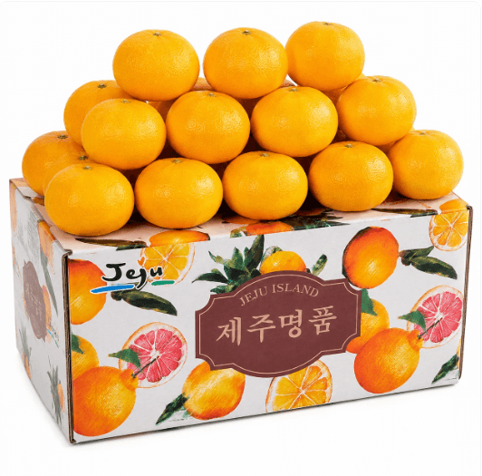 진과원 제주 하우스 감귤 대과 5kg