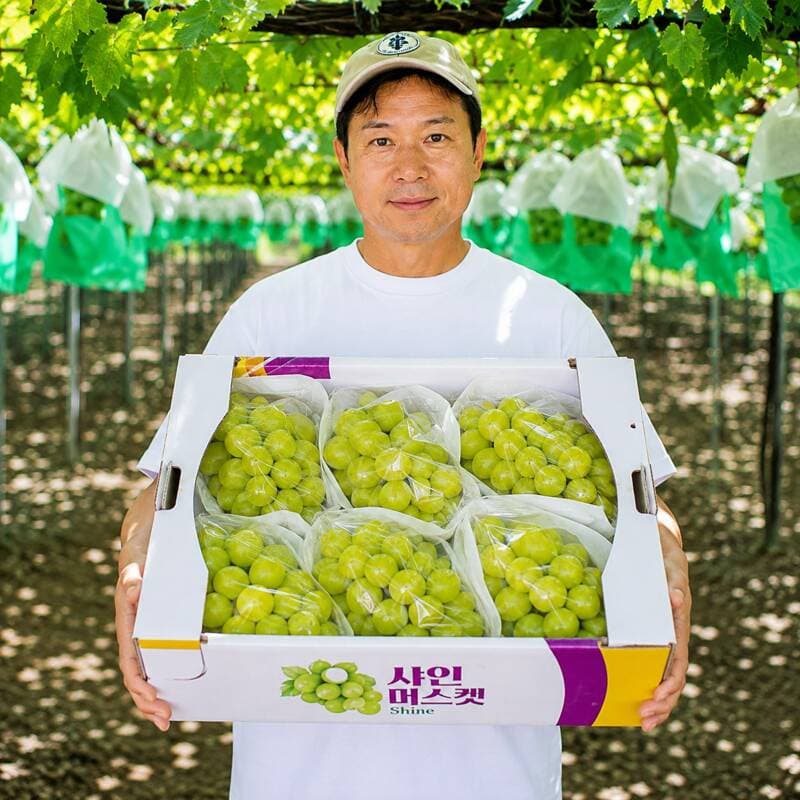경북 샤인머스켓 2kg 1박스