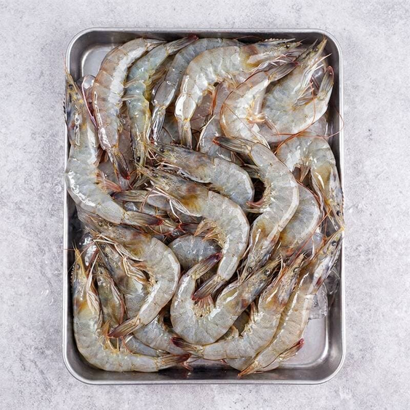 국내산 생물 흰다리새우 1kg