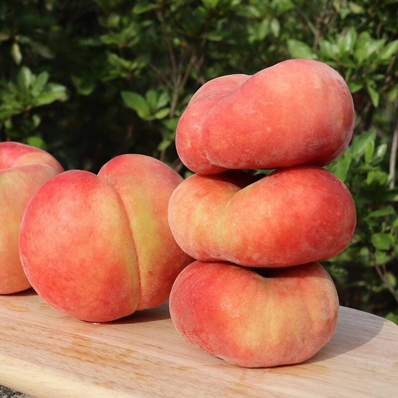 거반도 납작복숭아 대과 2kg