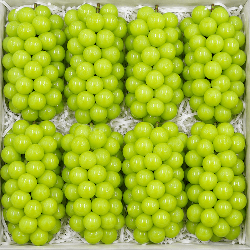 샤인머스켓 2kg 1박스