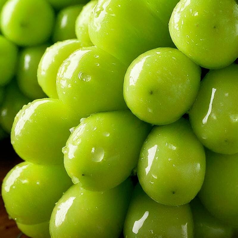 샤인머스캣 특품 2kg