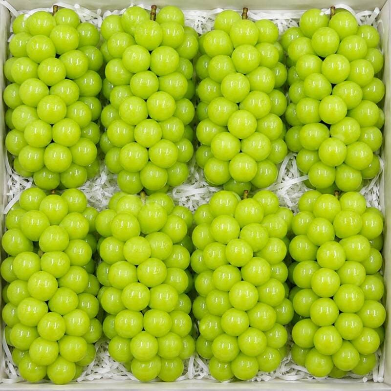 샤인머스켓 2kg 1박스