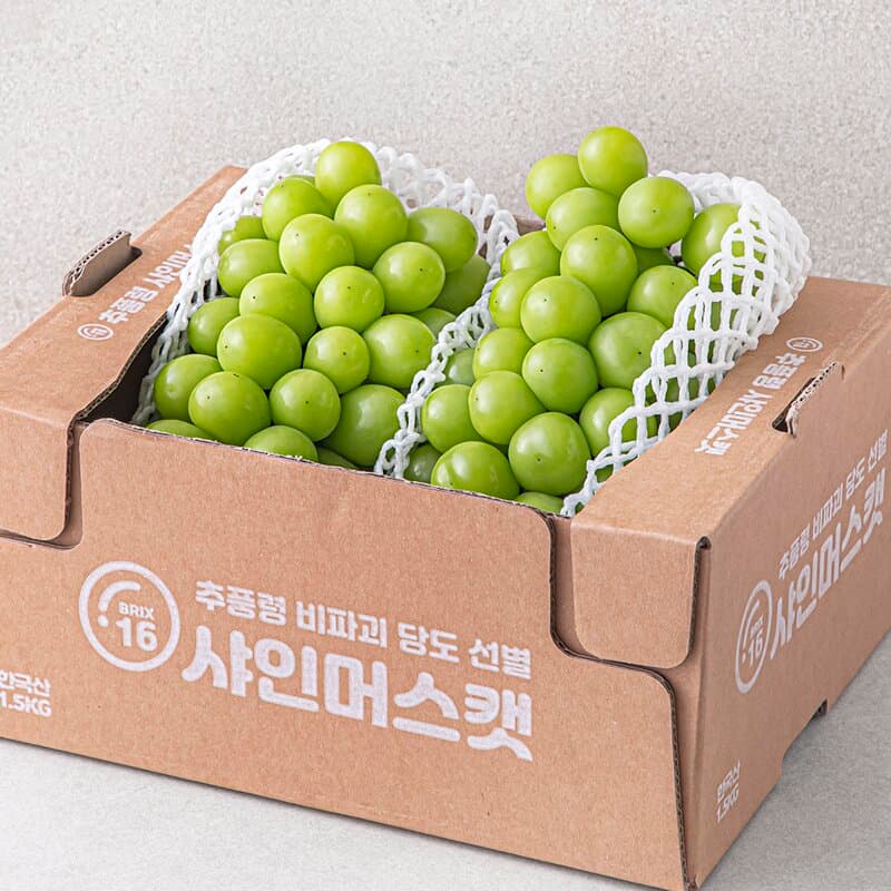 한반도 비파괴 당도선별 샤인머스켓