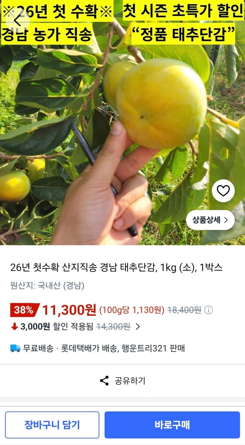 산지직송 경남 태추단감 1kg
