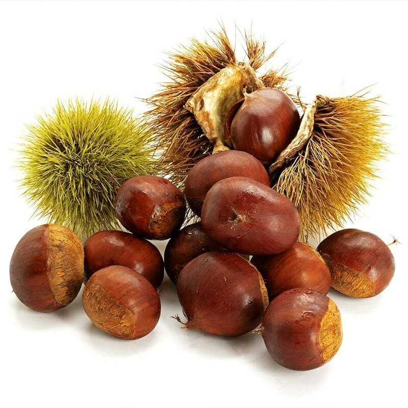 부여 햇 밤 중크기 2kg