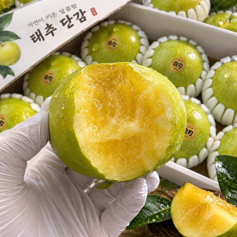 아침담은 고당도 태추단감 2kg
