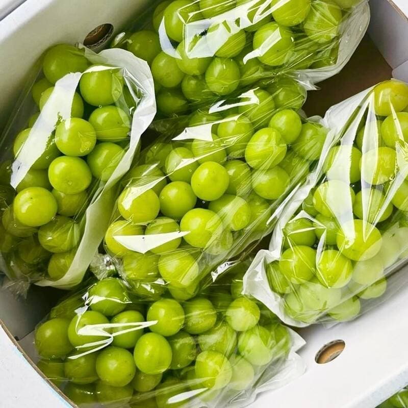 프로프룻 샤인머스켓 특품 2kg