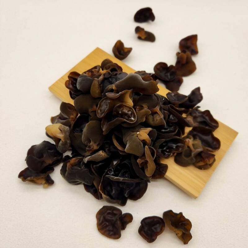 국내산 무농약 생목이버섯 1kg