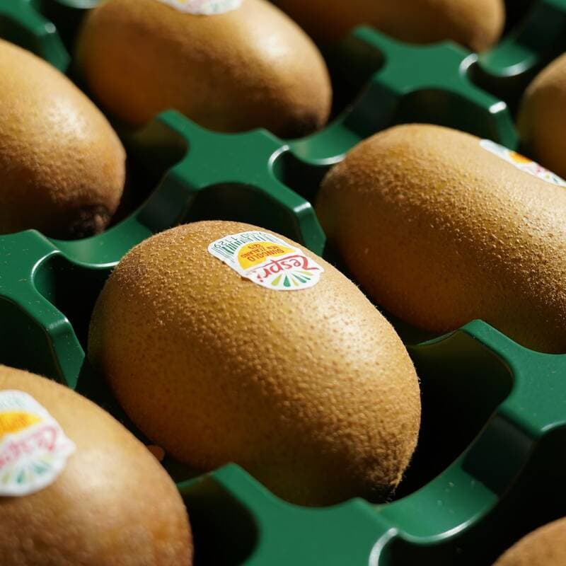 제스프리 썬골드키위 점보 20과
