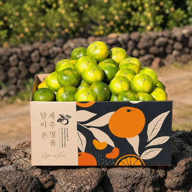인귤 제주 햇감귤 소과 4.5kg