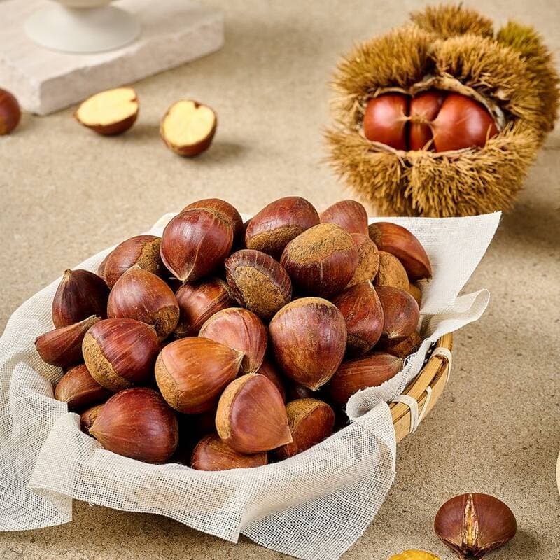 공주 정안 대령 알밤 대 500g