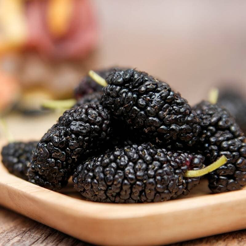 담양 오디 냉동 500g