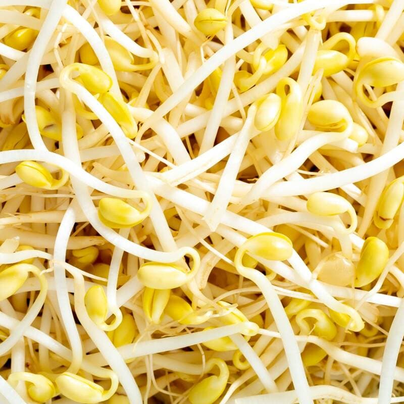 백년본가 무농약 인증 산소 콩나물 1kg