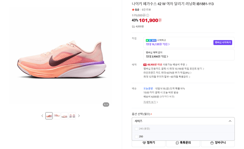 나이키 페가수스 42 W 러닝화