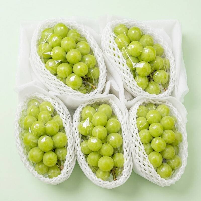 원물곳간 샤인머스캣 실속형 2kg