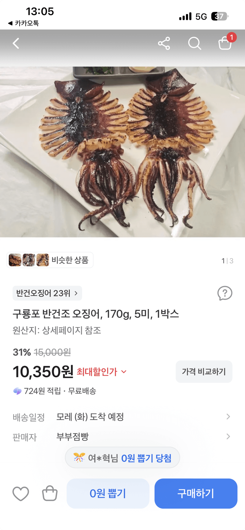 구룡포 반건조 오징어 170g 5미