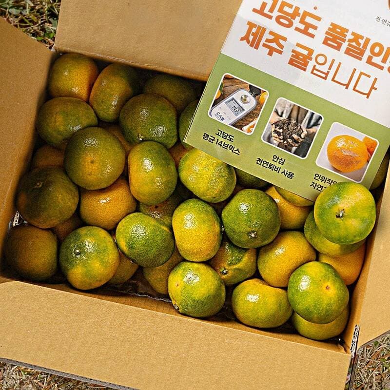 계약재배 제주 노지감귤 2kg