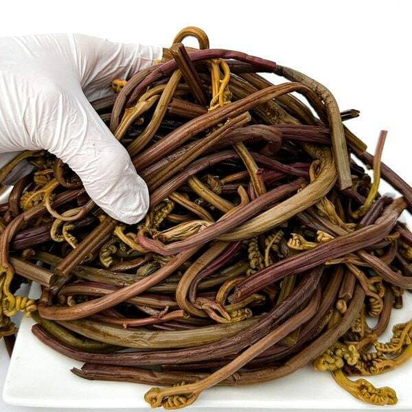 해성 데침고사리 1kg