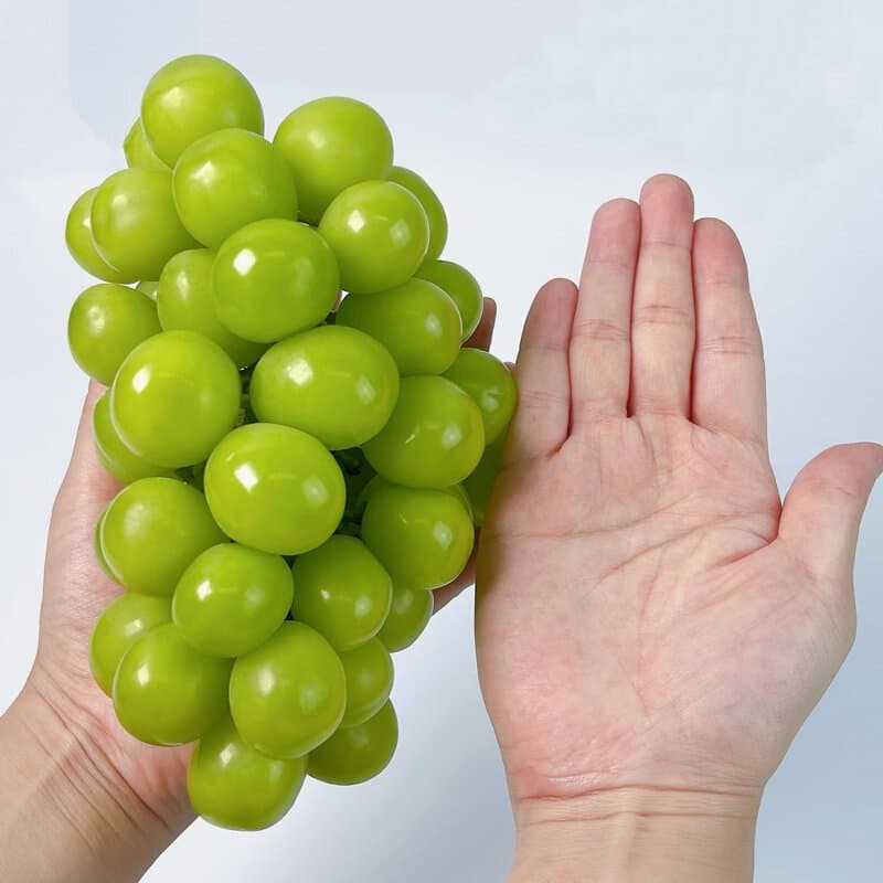 하우스 샤인머스켓 2kg 1박스