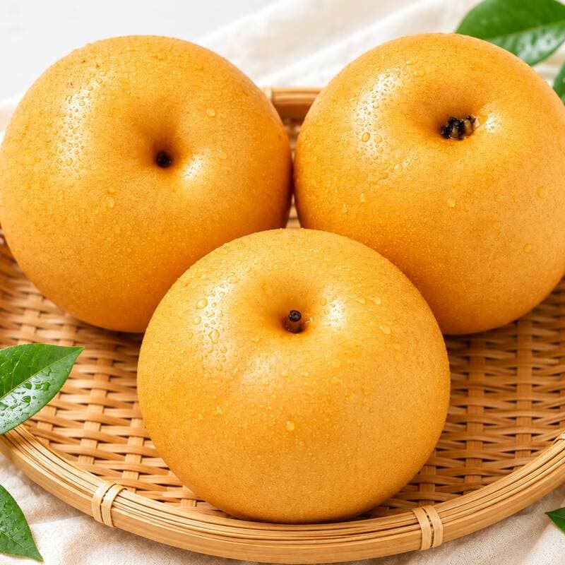 햇배 황금배 원황 추황 신고 감천 3kg